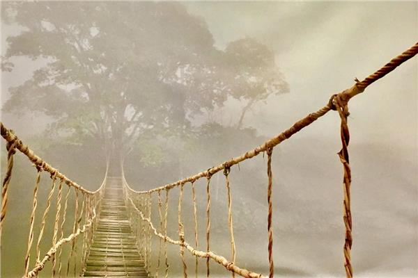 İp Merdiven Doğa Manzara Duvar Kağıdı